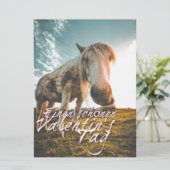 エイネンシェネンバレンティンスタグミットシャウエンデムプフェルド (スタンド正面)