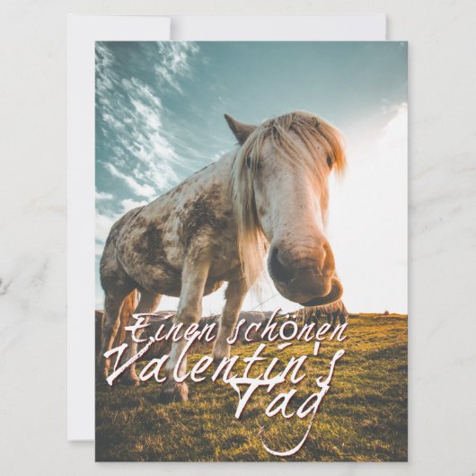 エイネンシェネンバレンティンスタグミットシャウエンデムプフェルド (正面)