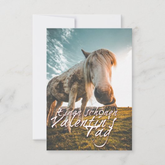 エイネンシェネンバレンティンスタグミットシャウエンデムプフェルド (正面)