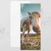 エイネンシェネンバレンティンスタグミットシャウエンデムプフェルド (正面/裏面)