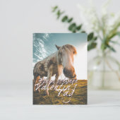 エイネンシェネンバレンティンスタグミットシャウエンデムプフェルド シーズンポストカード (スタンド正面)