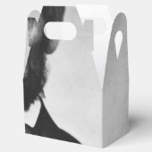 エイブラハムリンカーンポートレート フェイバーボックス (オープン)