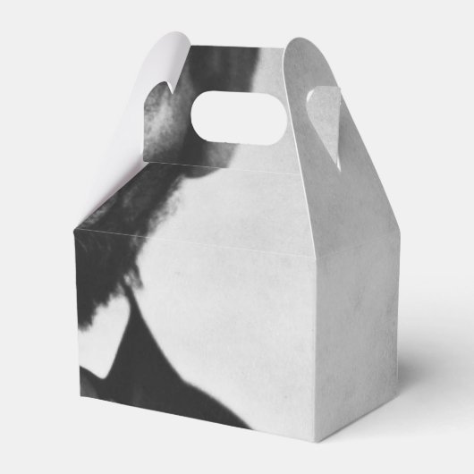 エイブラハムリンカーンポートレート フェイバーボックス (正面サイド)