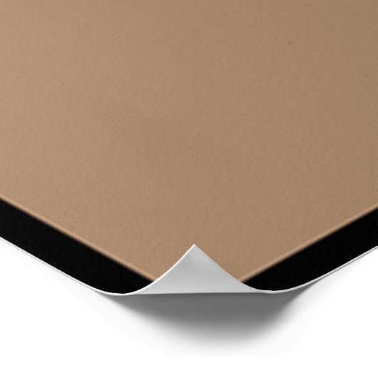 エイブラハム・リンカーンとその猫「ディクシー」 ポスター (角)