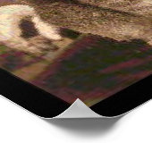 エイブラハム・リンカーンとその猫「ディクシー」 ポスター (角)