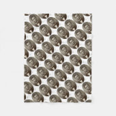 エイブリンカーンアメリカ大統領ヴィンテージポートレートUS フリースブランケット (正面)