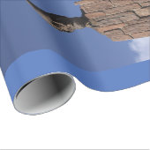 エイブリンカーンラッピング紙 ラッピングペーパー (ロールコーナー)