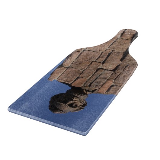 エイブリンカーン切削板 カッティングボード (角)