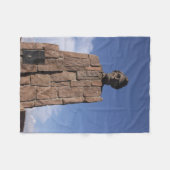 エイブリンカーン フリースブランケット (正面(横))