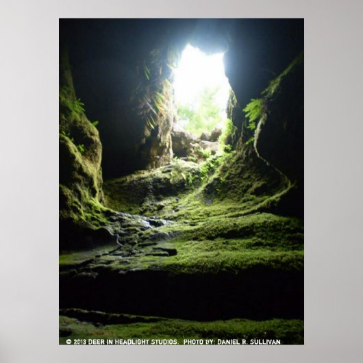 エイプケーブスWA ポスター (正面)