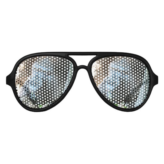 エイプフッド日本の～ゴリラ食べズ アビエーターサングラス (正面)