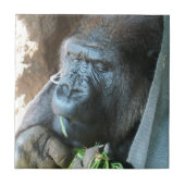 エイプフッド日本の～ゴリラ食べズ タイル (正面)