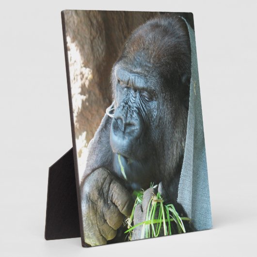 エイプフッド日本の~ゴリラ食べズ フォトプラーク (側面)