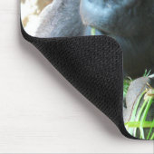 エイプフッド日本の~ゴリラ食べズ マウスパッド (コーナー)