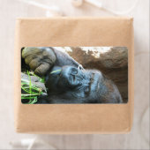 エイプフッド日本の～ゴリラ食べズ ラベル (インサイチュ)