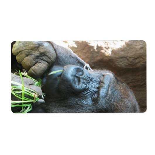 エイプフッド日本の～ゴリラ食べズ ラベル (正面)