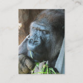 エイプフッド日本の~ゴリラ食べズ 名刺 (裏面)