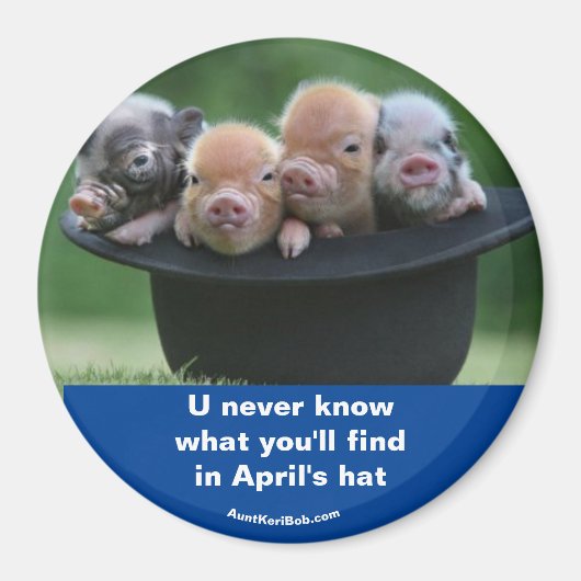 エイプリルの帽子 マグネット (正面)