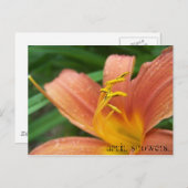 エイプリルシャワーポストカード ポストカード (正面/裏面)