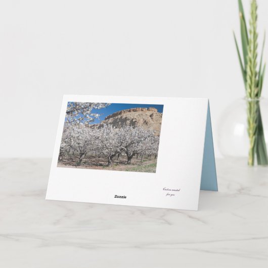 エイプリルピーチフラスフォト誕生日テンプレートカード カード (裏面)