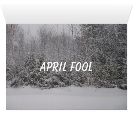 エイプリルフールの日の花と木の芝生のシーン (内部横(下))