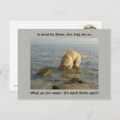 エイプリルフールの日 – おっちょこちょいのラブラドール ポストカード (正面/裏面)