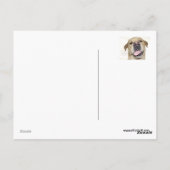 エイプリルフールの日 – おっちょこちょいのラブラドール ポストカード (裏面)