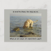 エイプリルフールの日 – おっちょこちょいのラブラドール ポストカード (正面)