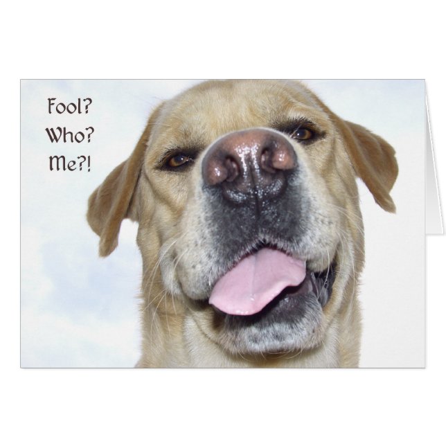 エイプリル・フール (正面横)