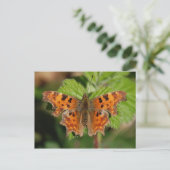 エイボン峡谷蝶 ポストカード (スタンド正面)