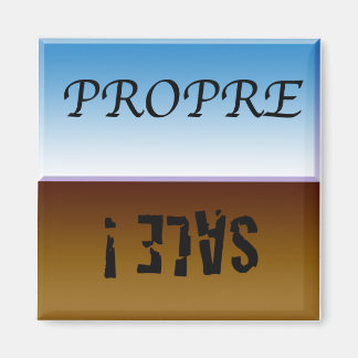 エイマントアレーヴヴァイスゼル マグネット