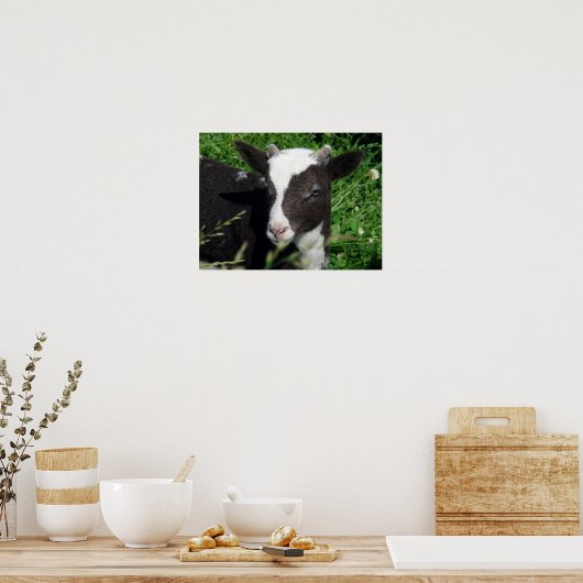 エイミーの子羊 ポスター (キッチン)