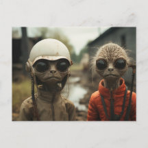 エイリアンの隣：奇妙な猫