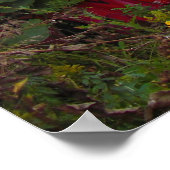 エイリアングラフィティポスター ポスター (角)