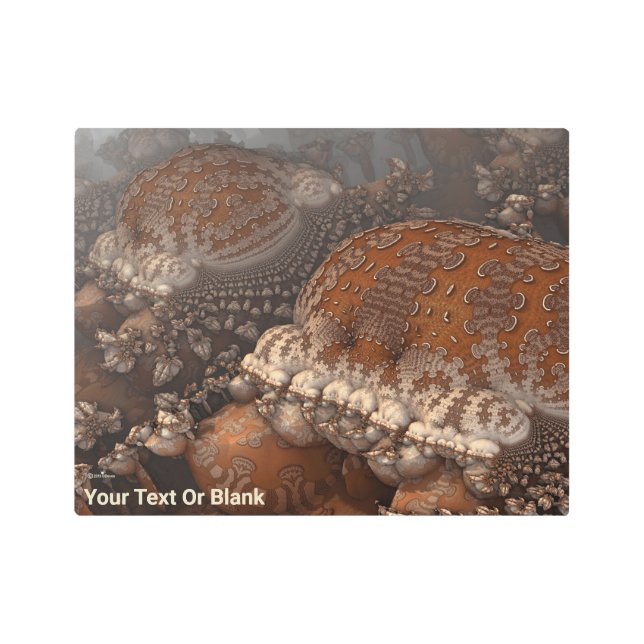 エイリアンシーライフ メタルプリント (正面)