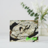 エイリアンスカル ポストカード (スタンド正面)