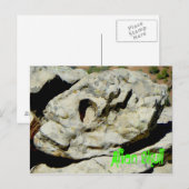 エイリアンスカル ポストカード (正面/裏面)