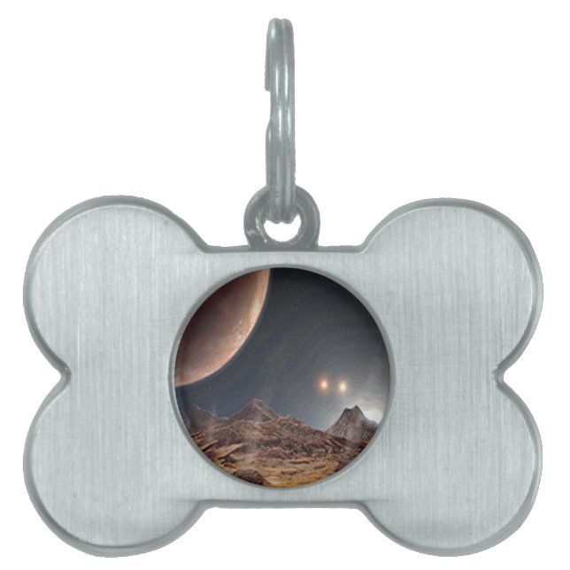 エイリアン世界 ペットネームタグ (正面)