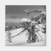 エイリアン木磁石 マグネット (正面)