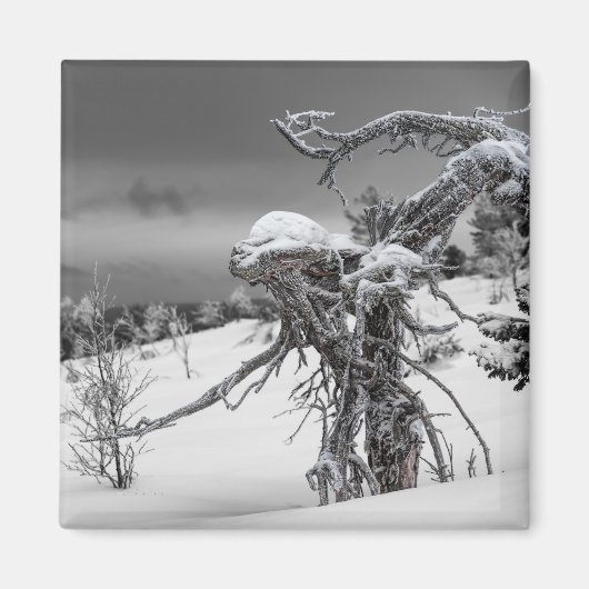 エイリアン木磁石 マグネット (正面)