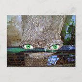 エイリアン木 ポストカード (正面)