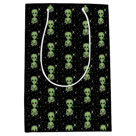 エイリアン、UFO、Ufology ミディアムペーパーバッグ (正面)