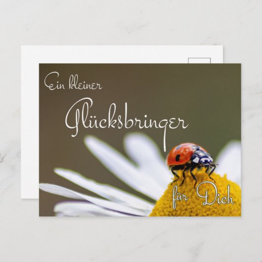 エインクライナーグリュックスブリンガーフュールディクミットマリエンカファー ポストカード (正面/裏面)