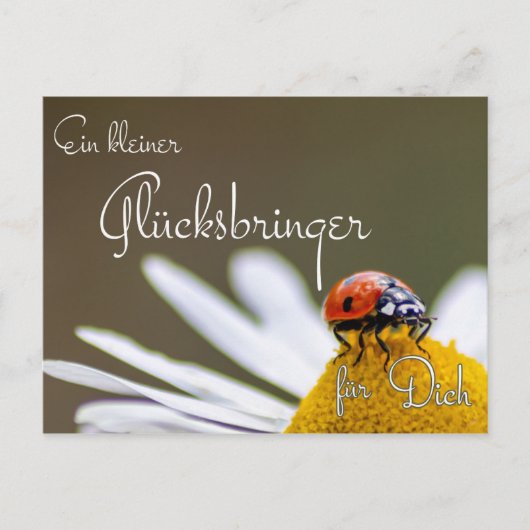 エインクライナーグリュックスブリンガーフュールディクミットマリエンカファー ポストカード (正面)