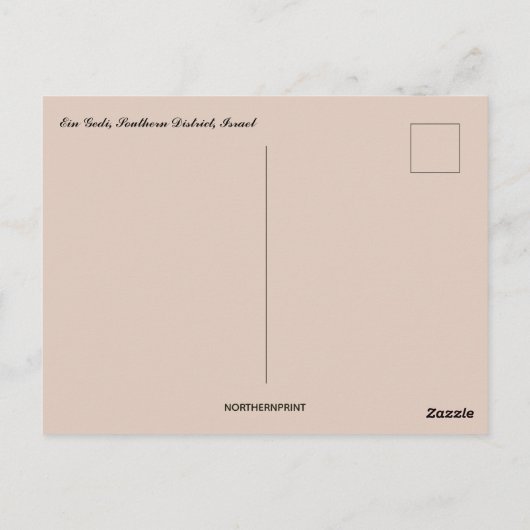 エインゲディ南地区イスラエル ポストカード (裏面)