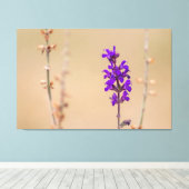 エインファツムチューメンとヴォルフュレン… キャンバスプリント (インサイチュ (ウッドフロア))