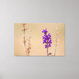 エインファツムチューメンとヴォルフュレン… キャンバスプリント