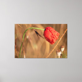 エインファツム・チューメンとエンツパンネン… キャンバスプリント