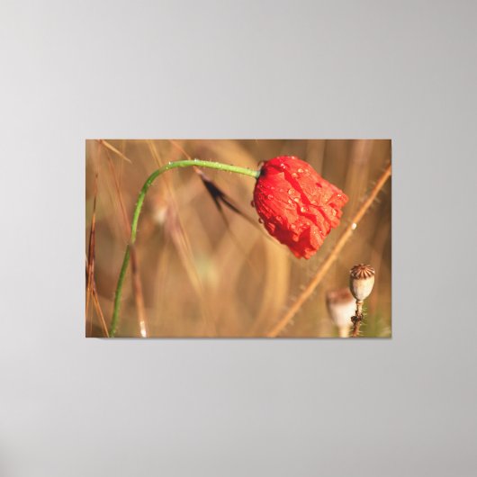 エインファツム・チューメンとエンツパンネン… キャンバスプリント (正面)