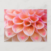 エインブルーミガーリエブスグルスフールデインリエブステン ポストカード (正面)